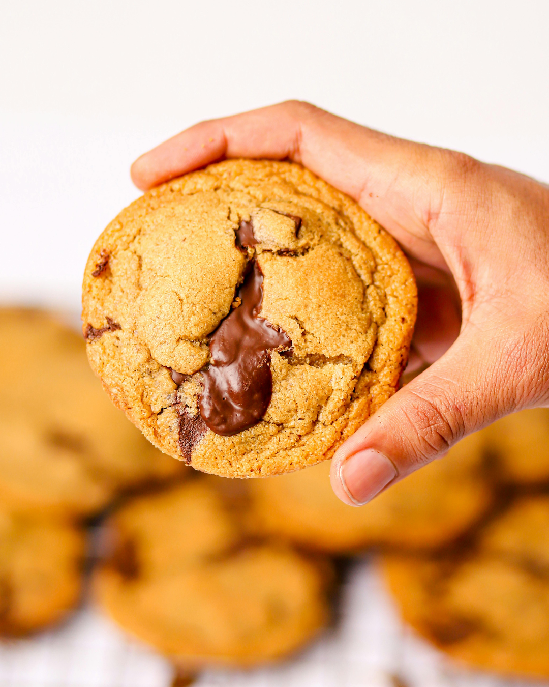 Chocolate Chip Cookie - Set of 4